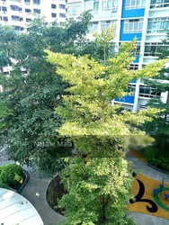Blk 38C Bendemeer Road (Kallang/Whampoa), HDB 4 Rooms #203343861